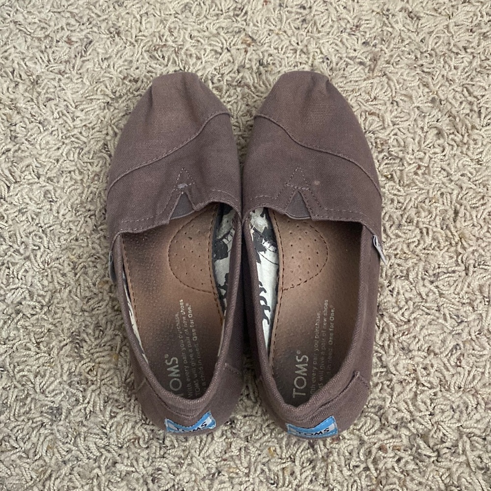 TOMS Size 6.5 Ash Canvas Color